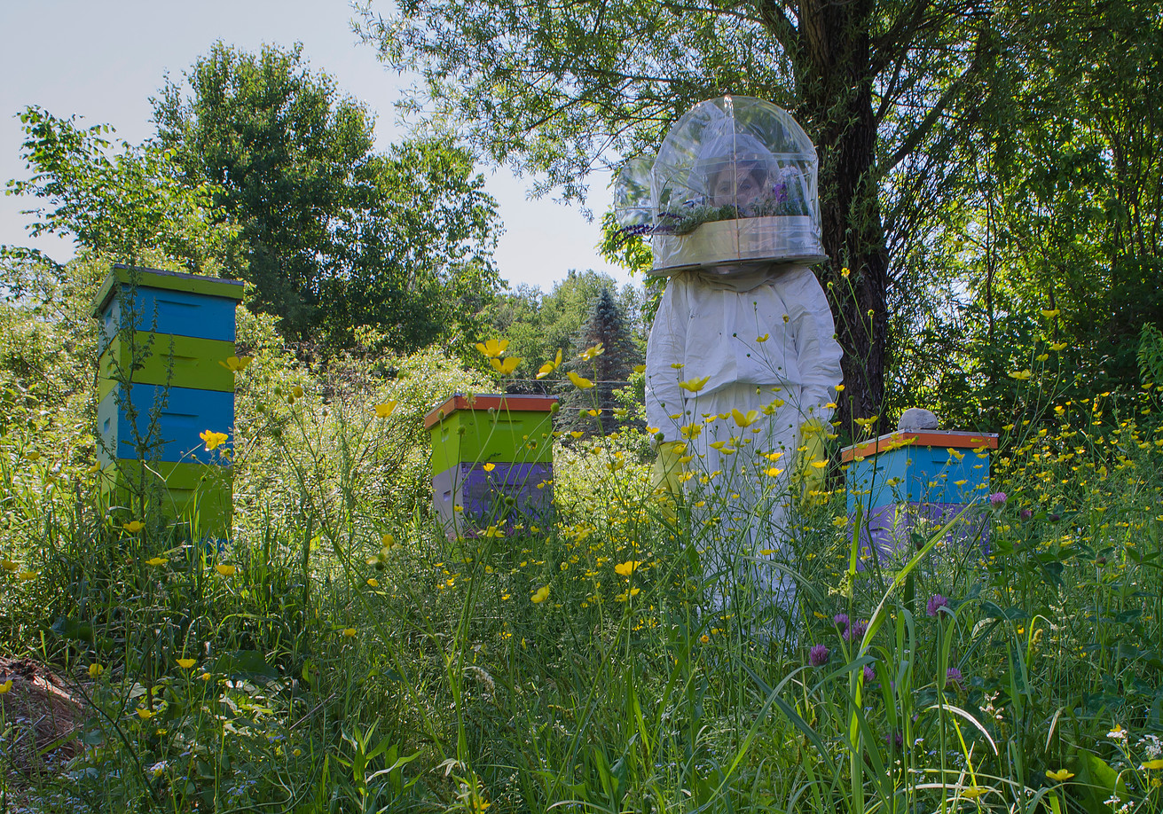 Farm photo 8