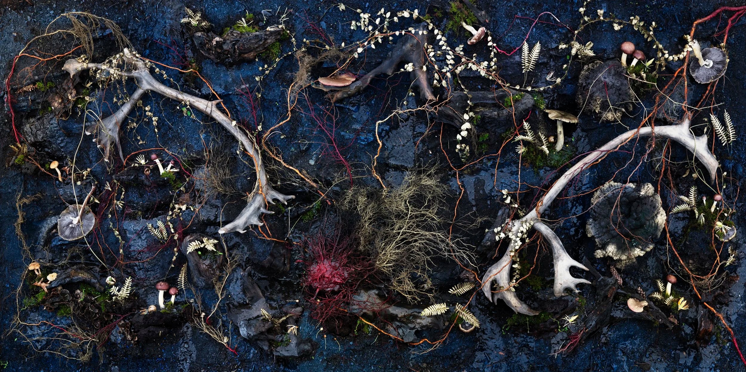 Tanya Marcuse