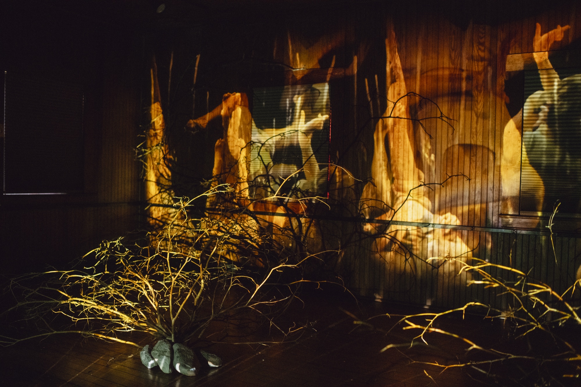 ARTSeed photo 4